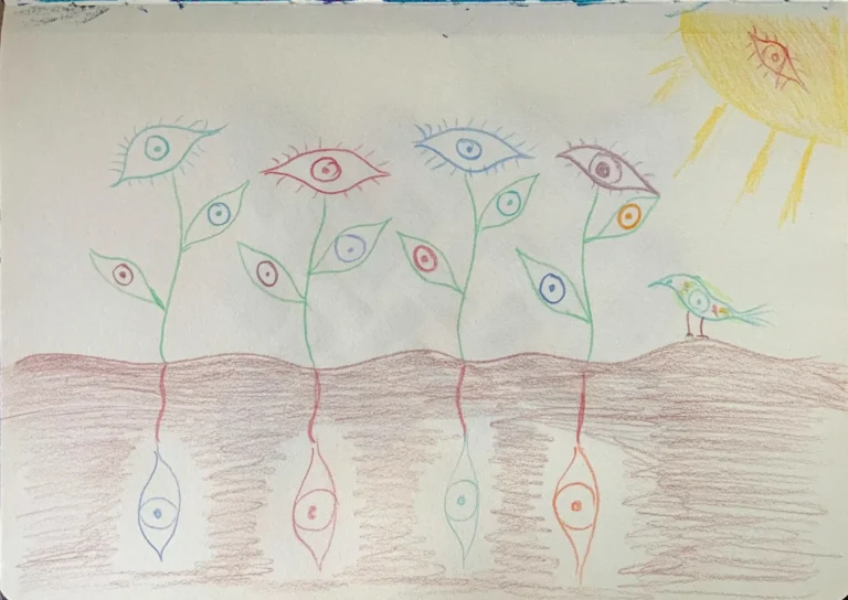 Hakanohi-_-graines-scaled